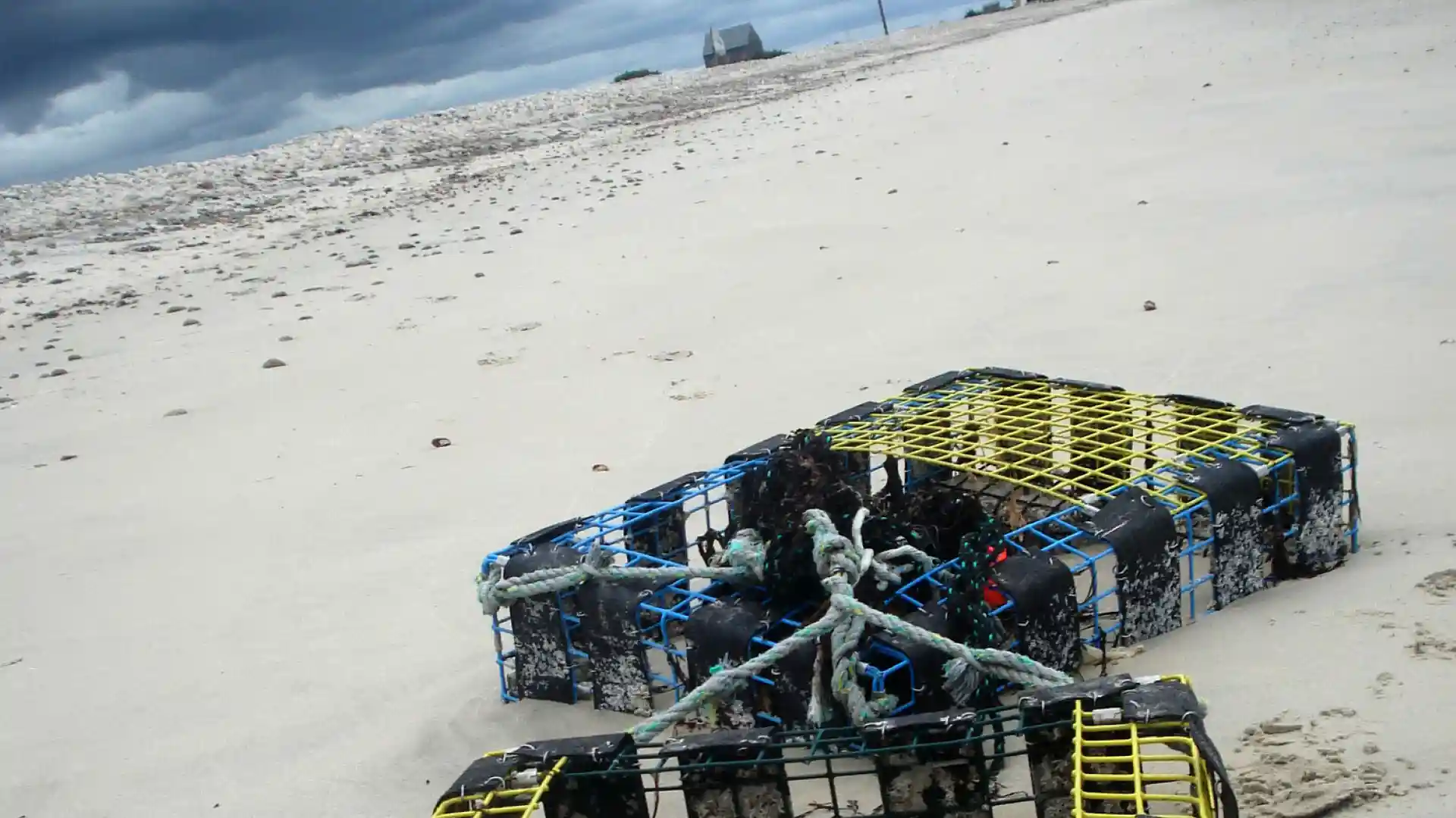 Book Design Series &ndash; Typography & Image